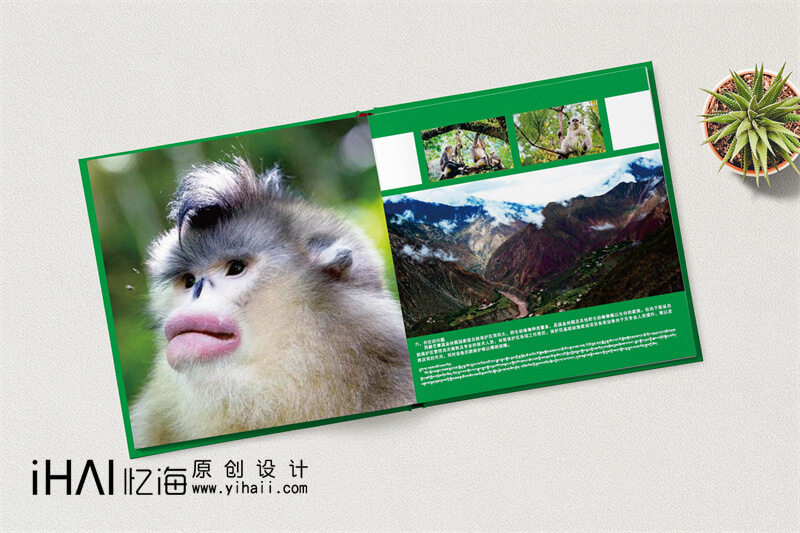 野生动物保护精装宣传册设计制作