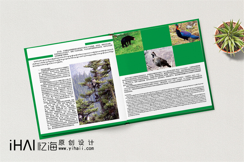 野生动物保护精装宣传册设计制作