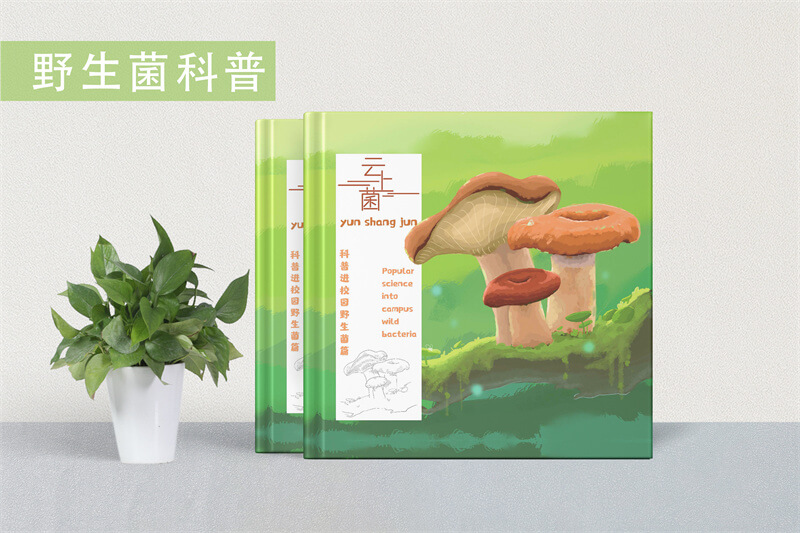  野生菌科普进校园精装宣传画册制作