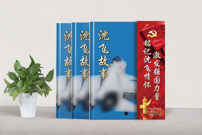 带U盘和光盘的企业纪念相册制作-记录公司文化发展相册设计