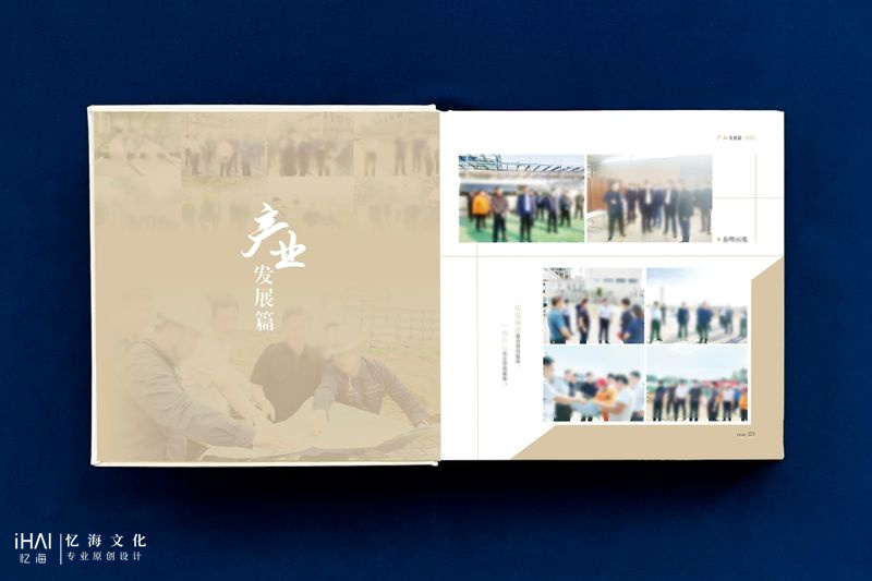 县长工作相册设计和制作