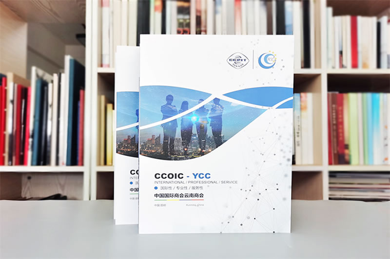 教育培训机构招生宣传画册设计-吸引潜在学员的创意设计方案