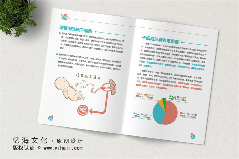 昆明忆海文化-明宣传画册定制设计-画册制作应该包含哪些内容