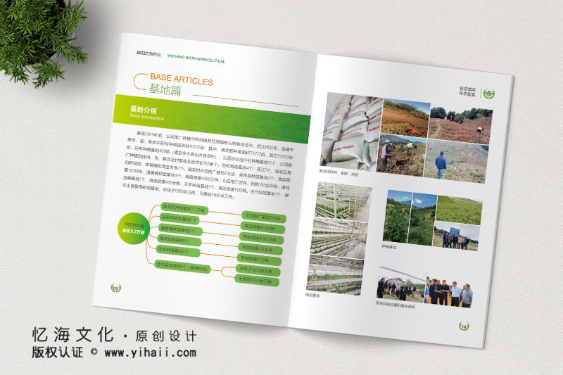 昆明忆海文化-企业画册定制设计-临沧生物科技画册制作