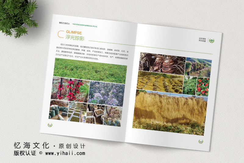 昆明忆海文化-企业画册定制设计-临沧生物科技画册制作