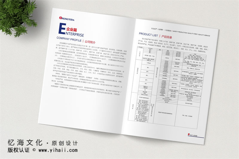 昆明忆海文化-公司宣传画册设计制作-昆明工艺气体画册定制