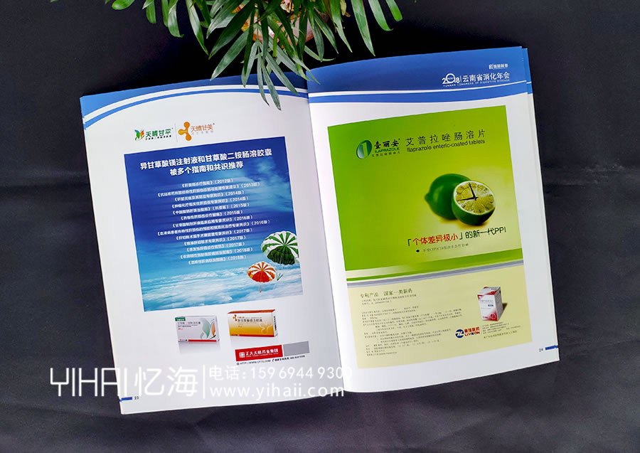 忆海文化云南省消化年会会议指南手册设计
